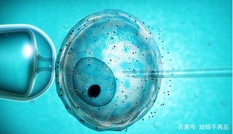 助孕儿子包成功